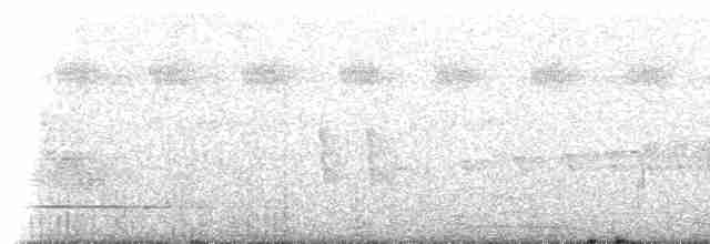 Altuni Kakancık (buffonii) - ML223833