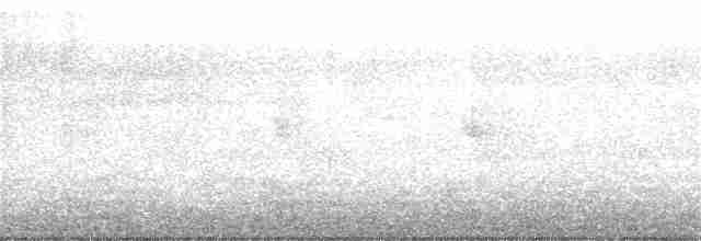 Каньонный крапивник - ML223877331