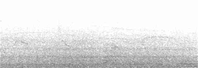 skrentsanger (occisinensis) - ML223878121