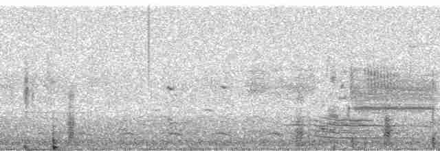 ibis hnědý - ML22388