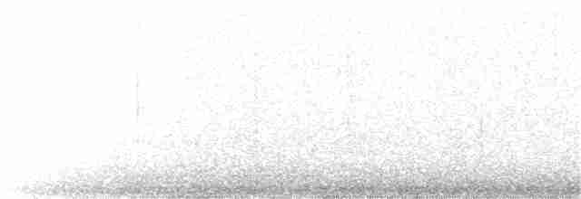 Black-throated Gray Warbler - ML223908081