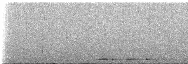 Кукушечья иглоногая сова - ML223961