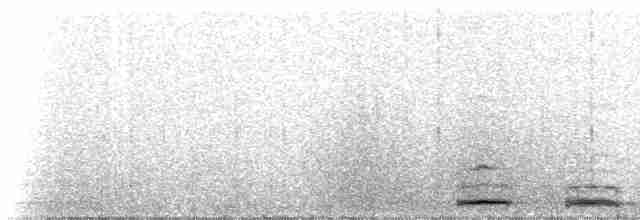 Кукушечья иглоногая сова - ML223962