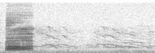 volavka bělostná - ML22397