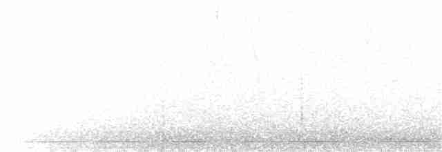 Vireo de Bell (arizonae) - ML223991101