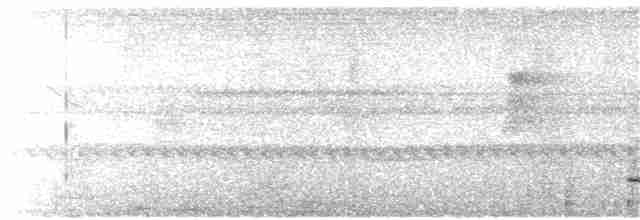 Rostbrust-Ameisendrossel - ML224071891