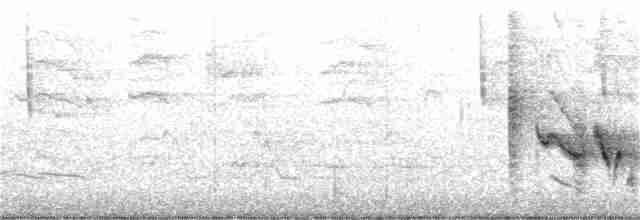White-eyed Vireo - ML224199031