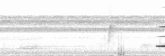 Cinereous Tinamou - ML224353651