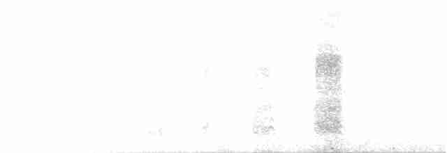 gråskrike (canadensis gr.) - ML224399051