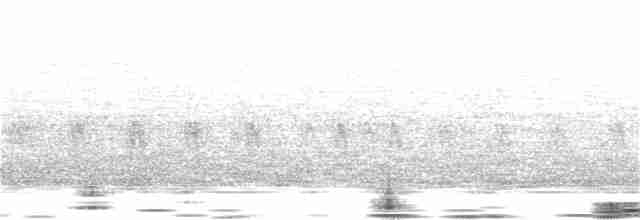 "Шишкар ялиновий (Western Hemlock, або тип 3)" - ML22442171