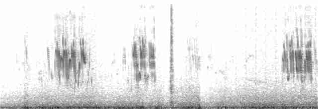 Tree Swallow - ML224462121