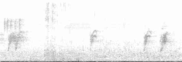 Горихвістка синьолоба - ML224481061