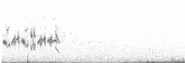 Balearengrasmücke - ML224481451