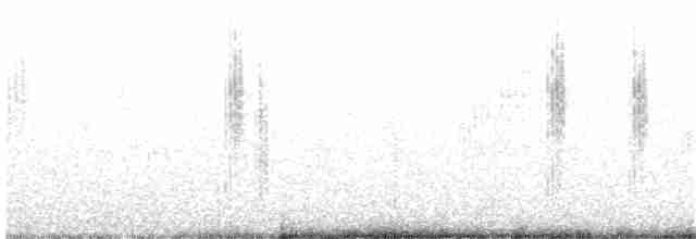 Balearengrasmücke - ML224481461