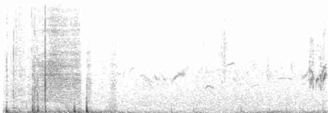 Balearengrasmücke - ML224481471