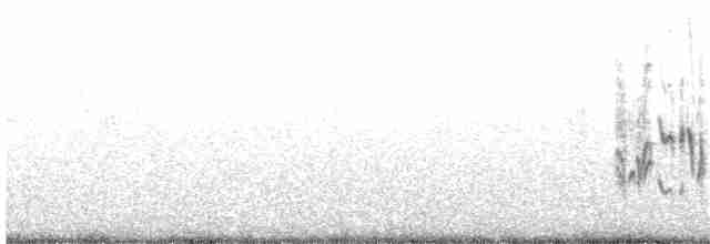 Balearengrasmücke - ML224481481