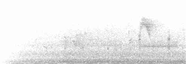 Болотный крапивник - ML22450521
