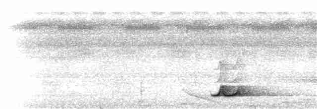 Black-capped Tinamou - ML224539361