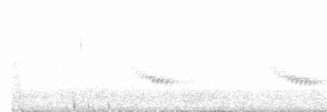 Каролинский крапивник - ML224595291