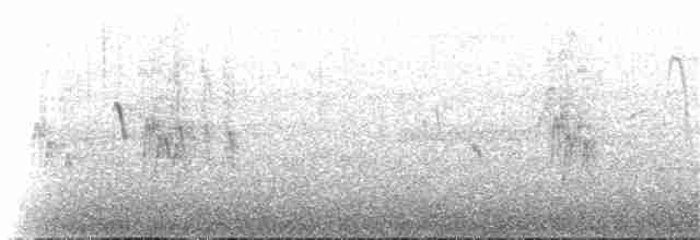 Серпокрилець-вилохвіст малий - ML224604991