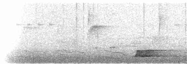 Tinamou à calotte noire - ML224609701