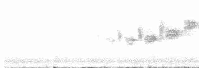 Black-throated Gray Warbler - ML224624531