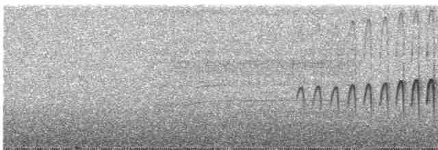 Puna Thistletail - ML224684371