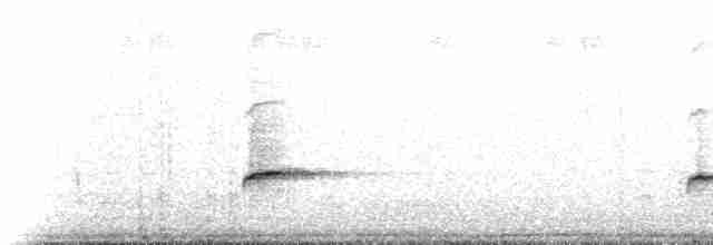 brunkinnskogtrost (swainsoni gr.) - ML224727