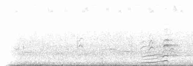 Common Gallinule (American) - ML224797