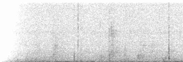 Montane Forest Screech-Owl - ML224829