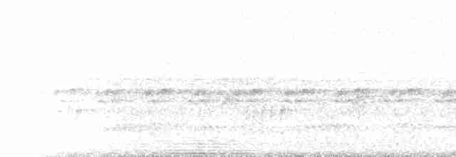 Серогрудый крапивник - ML224878
