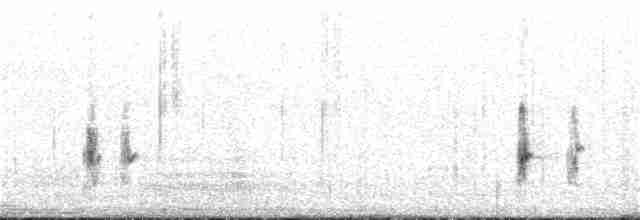 grånakkefjellfink (tephrocotis gr.) - ML224879351