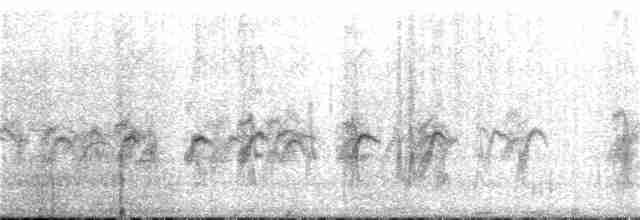 grånakkefjellfink (tephrocotis gr.) - ML224879961