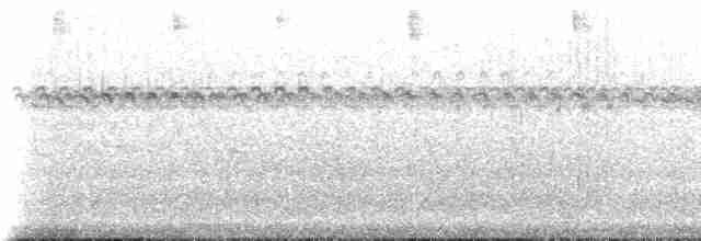 Тростниковый дорадито - ML224888