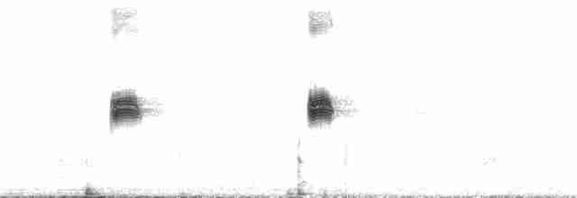 Каньонный крапивник - ML224891131