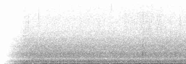 Çatal Kuyruklu Ormanperisi - ML224951