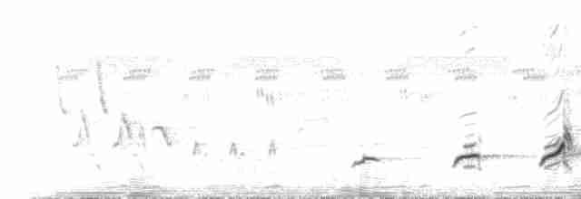 Crested Bobwhite (Crested) - ML224968
