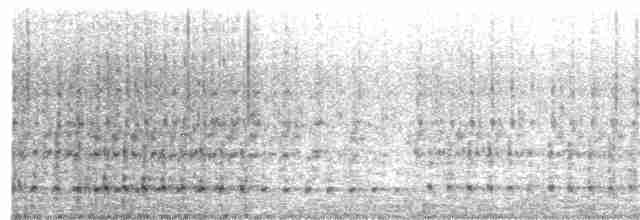 holub chocholatý - ML224988931