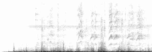 Коронованная которра (peruviana/dilutissima) - ML224989471