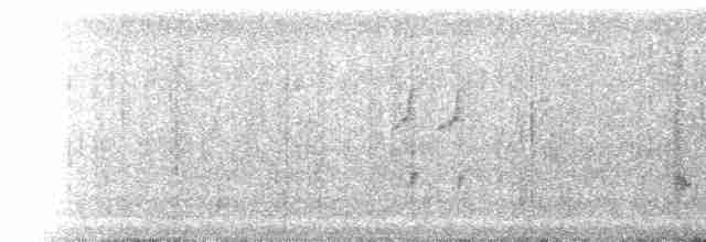 Epaulet Oriole (Moriche) - ML224990