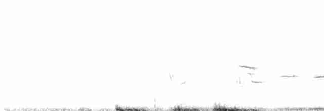 Vesper Sparrow - ML225049531
