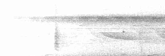 Boz Kanatlı Borazankuşu (crepitans) - ML225051