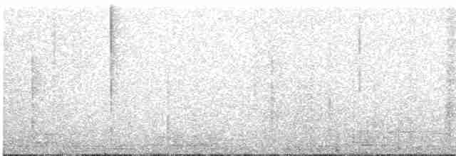 Slaty-tailed Trogon - ML225063661