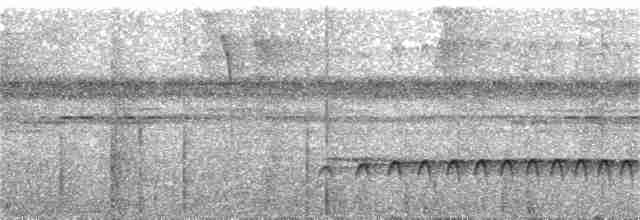 Tüpfelkronen-Ameisenvogel - ML225069321