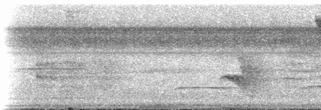 Гребнеклювый гокко - ML225105