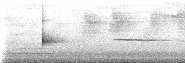 Pullu Çıtkuşu (taeniatus/occidentalis) - ML225149