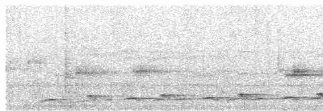 Lyre-tailed Nightjar - ML225152201