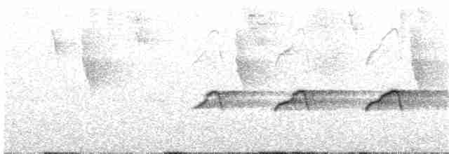 Swallow-tailed Kite - ML225154591