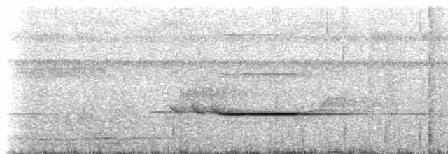 Striped Wren-Babbler - ML225159