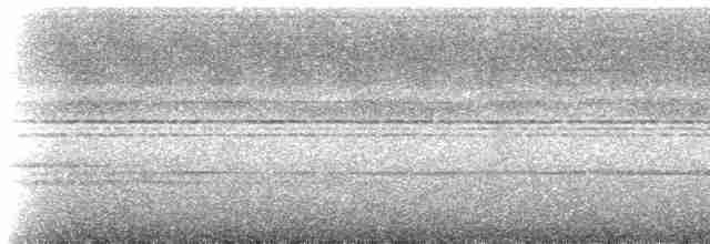 Beyaz Belli Şama [malabaricus grubu] - ML225171